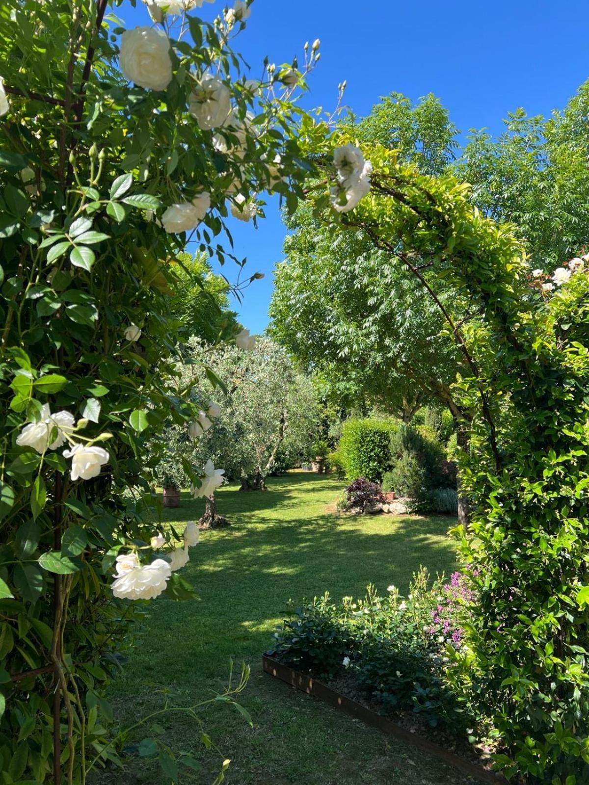 Relais La Corte Dei Papi Cortona Eksteriør bilde